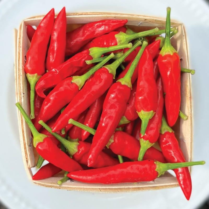 V072 Pepper Super Chili - View 3 from www redcrocus com
