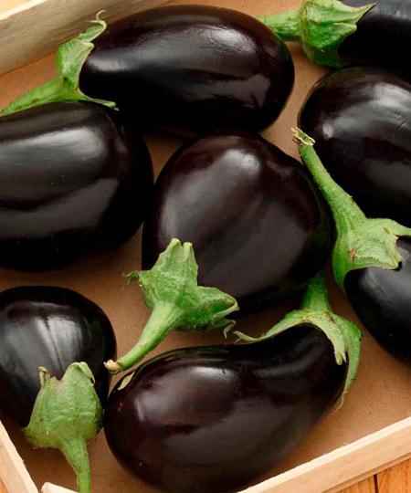V086 Eggplant Satin Moon - View 1 from www redcrocus com
