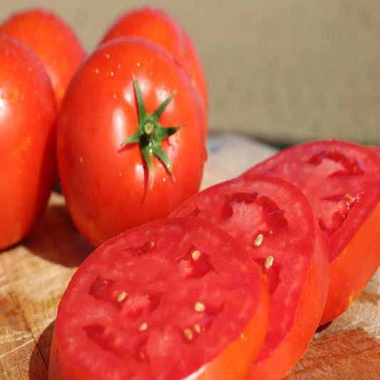 V087 Tomato Big Beef Plus - View 10 from www redcrocus com