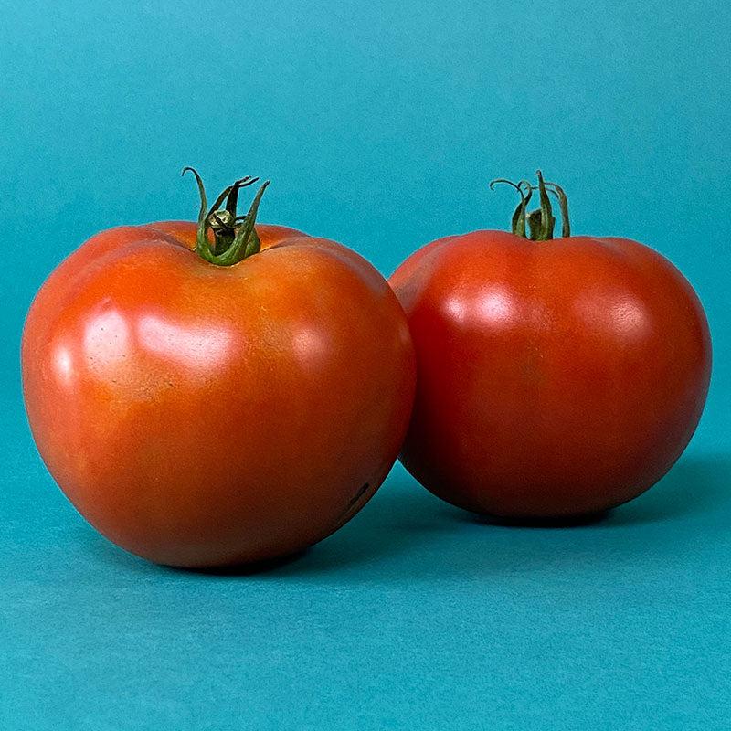 V087 Tomato Big Beef Plus - View 13 from www redcrocus com