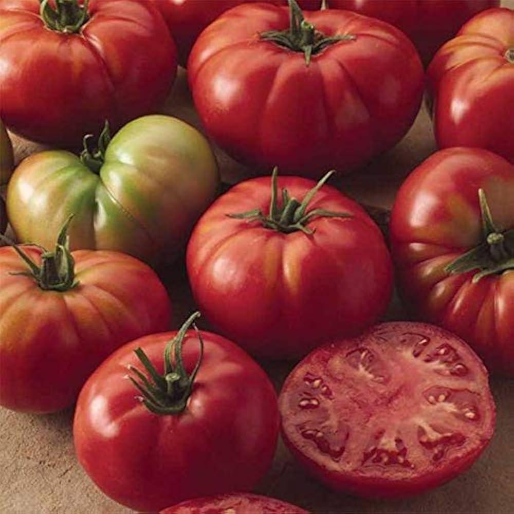 V096 Tomato 'bush Champion 2' - View 23 from www redcrocus com