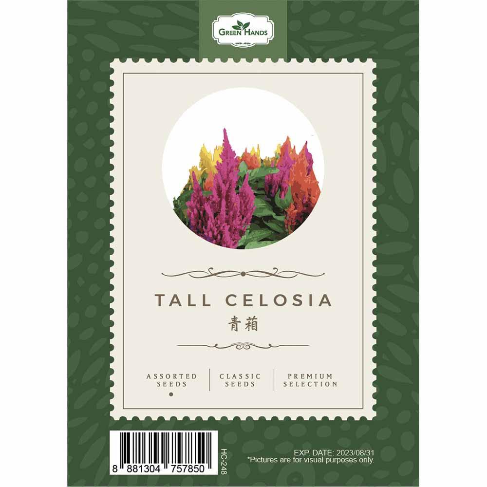 Celosia, Assorted - View 28 from www redcrocus com
