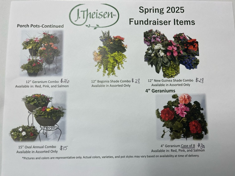 G000 Geranium Annual, Assorted - View 15 from www redcrocus com