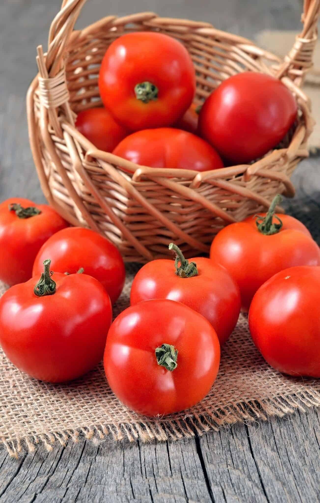 Tomato Big Boy - View 10 from www redcrocus com