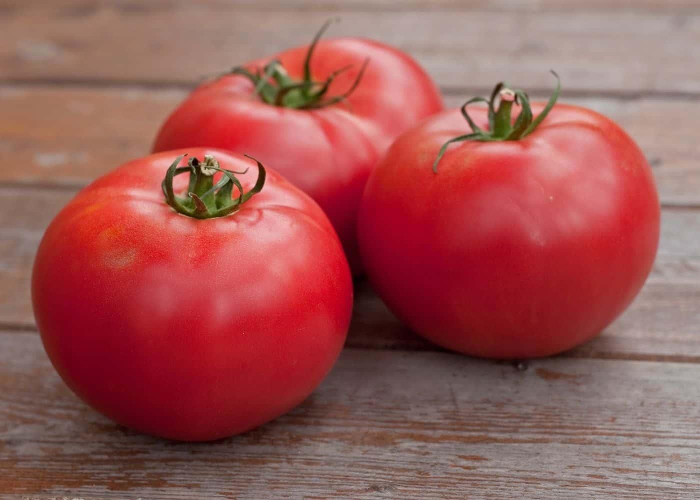 Tomato Big Boy - View 1 from www redcrocus com