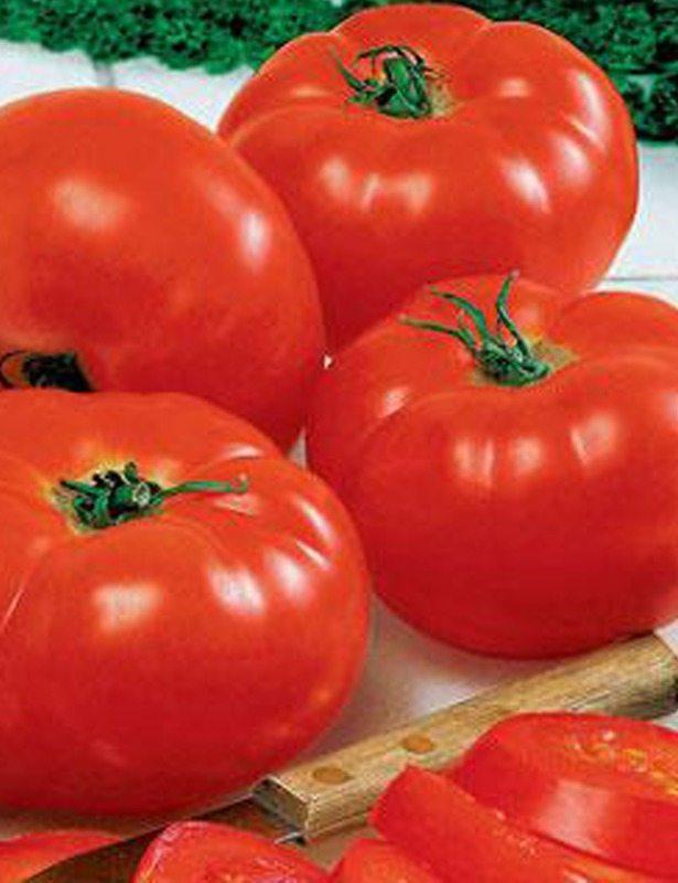 Tomato Big Boy - View 7 from www redcrocus com