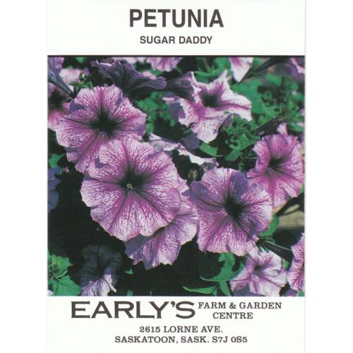 Petunia 'madness Sugar' - View 13 from www redcrocus com