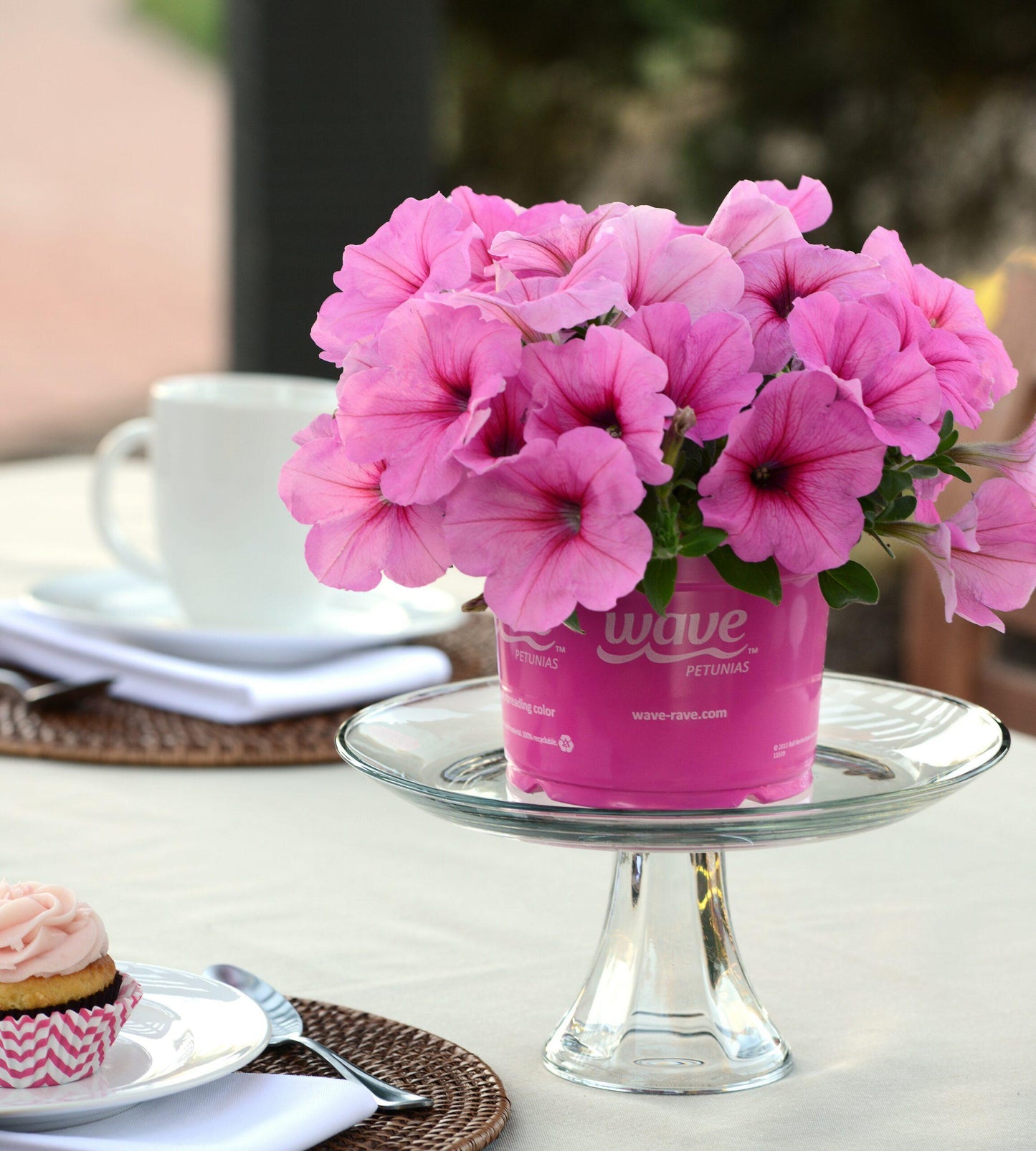 Petunia 'easy Wave Pink' - View 12 from www redcrocus com