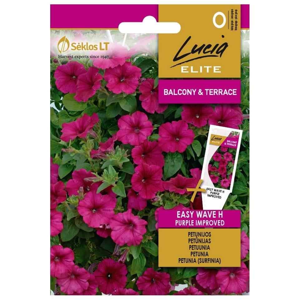 Petunia Wave Purple Improved - View 12 from www redcrocus com