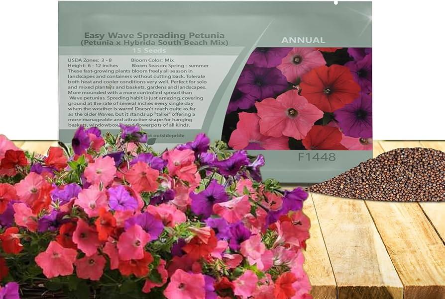 Petunia 'easy Wave South Beach' - View 7 from www redcrocus com