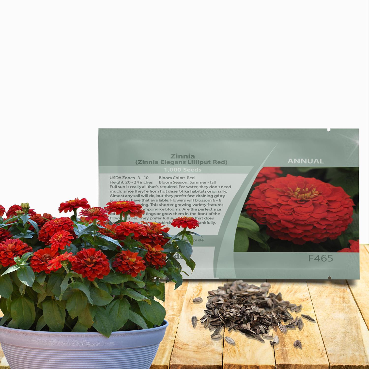 Zinnia 'elegant Hot Mix' - View 16 from www redcrocus com
