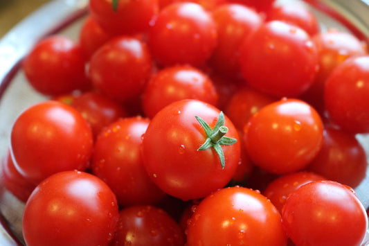 Tomato Husky Cherry Red - View 10 from www redcrocus com