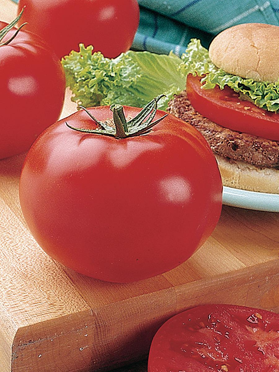 Tomato Big Beef Plus - View 7 from www redcrocus com