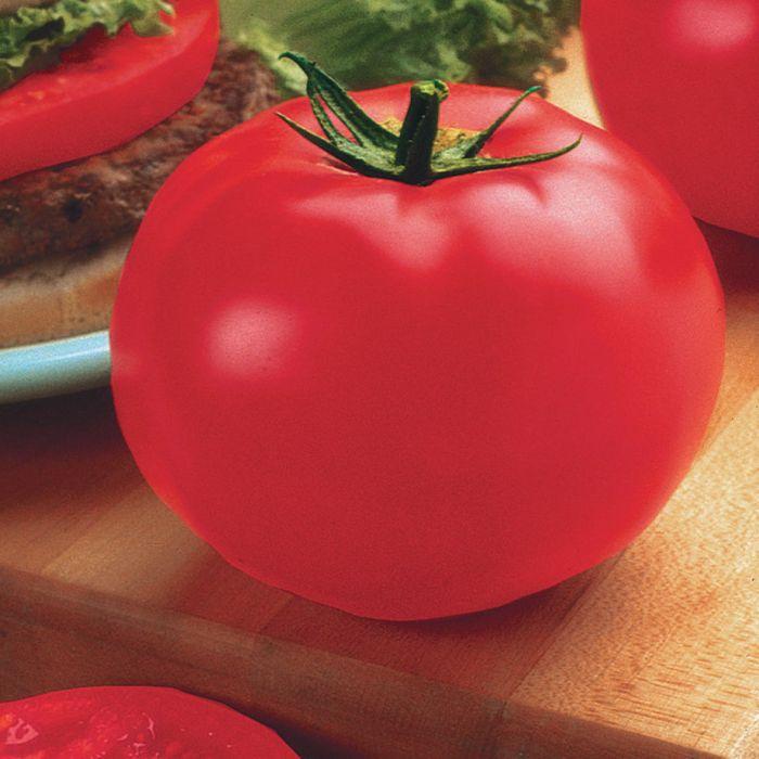 Tomato Big Beef Plus - View 8 from www redcrocus com
