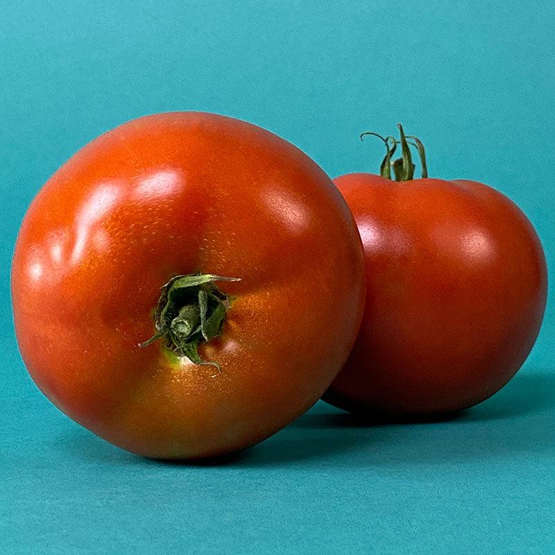 Tomato Big Beef Plus - View 9 from www redcrocus com