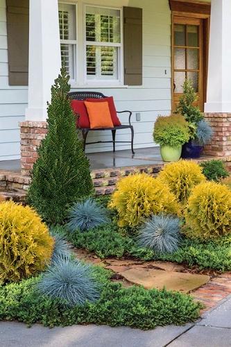 Thuja Morgan Lime Green Arborvitae - View 23 from www redcrocus com