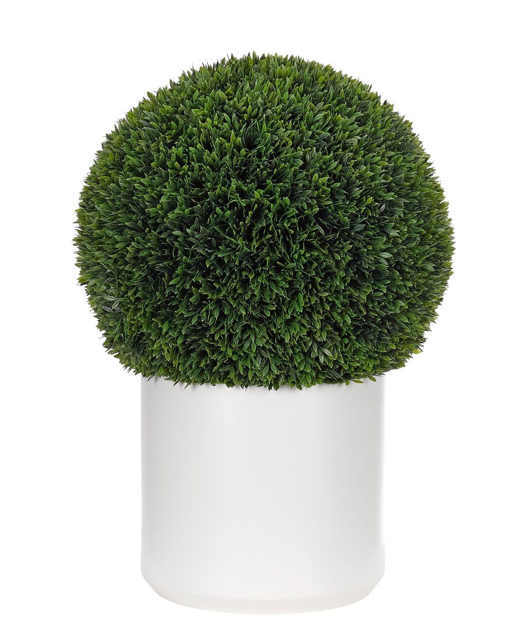D8 Ball Topiary - View 23 from www redcrocus com