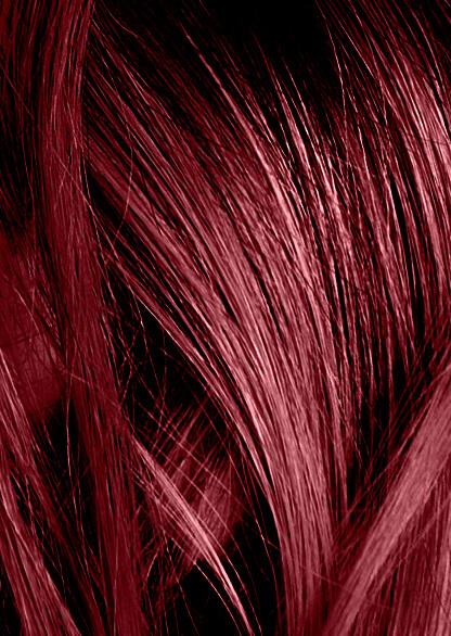Cea Passion Red - View 23 from www redcrocus com