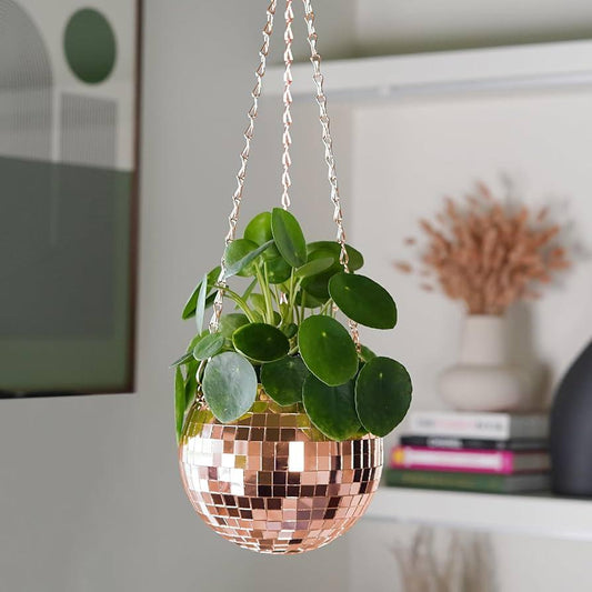 F88 Golden Hanging Basket - View 10 from www redcrocus com