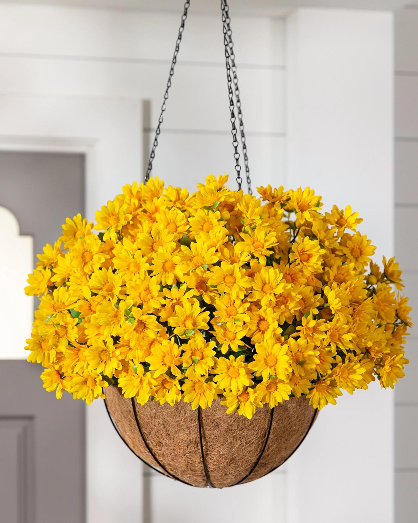 F88 Golden Hanging Basket - View 24 from www redcrocus com