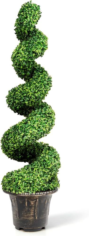 E Buxus Green Mountain Topiary 4 5' Spiral Topiary - View 25 from www redcrocus com