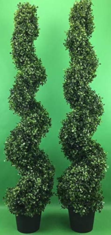 E Buxus Green Mountain Topiary 4 5' Spiral Topiary - View 30 from www redcrocus com