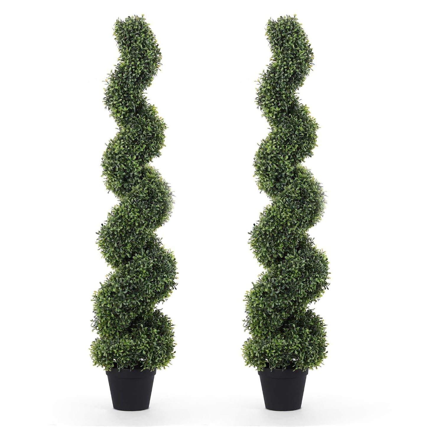 E Buxus Green Mountain Topiary 4 5' Spiral Topiary - View 34 from www redcrocus com
