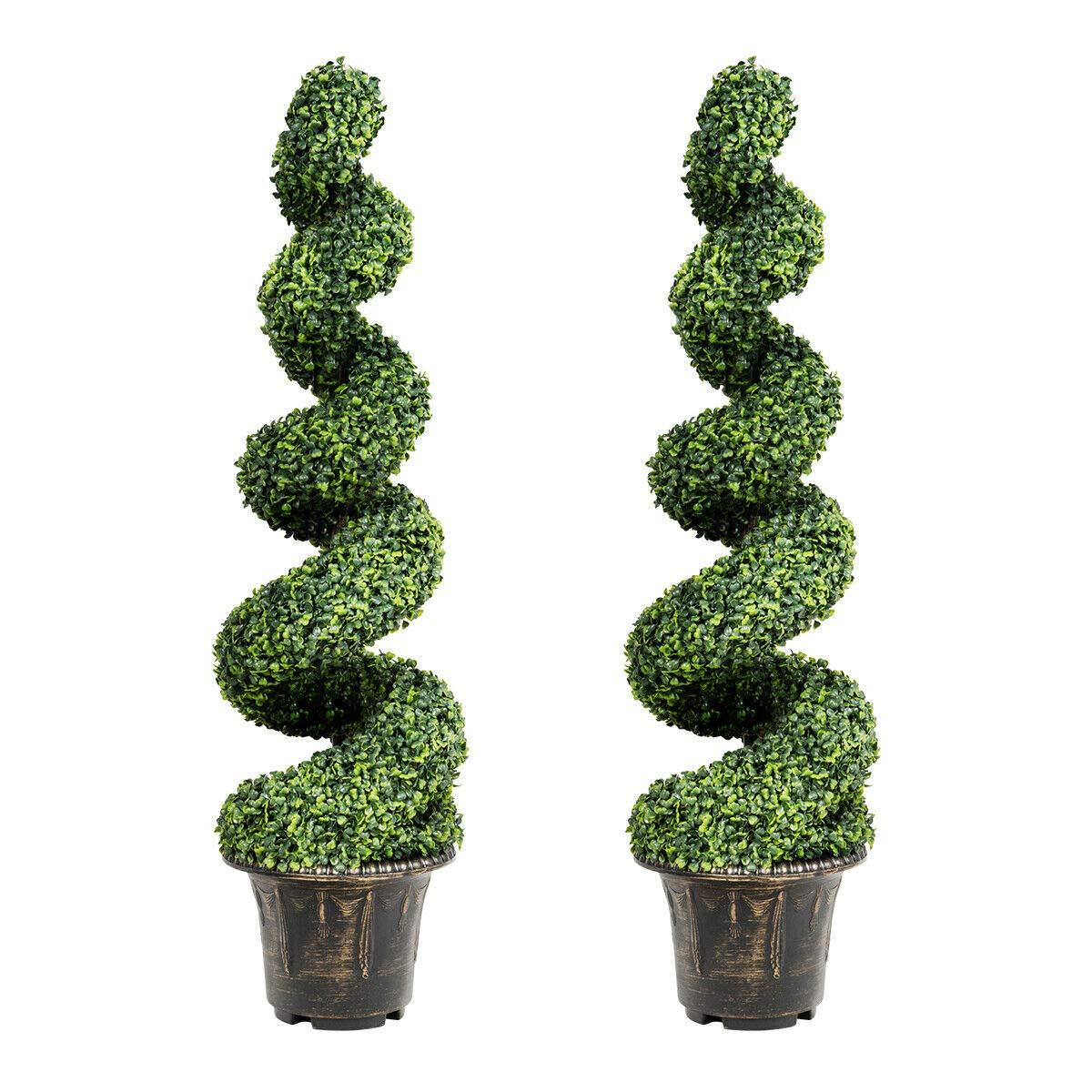 E Spiral Topiary - View 23 from www redcrocus com