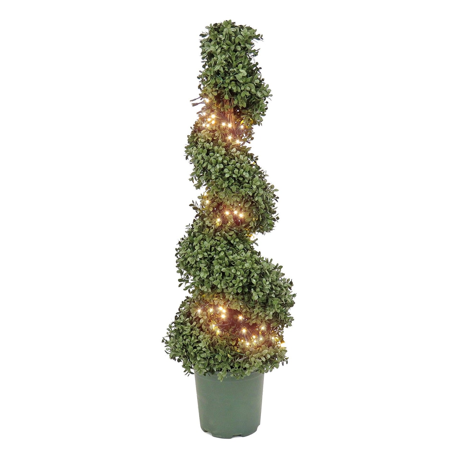 E Spiral Topiary - View 35 from www redcrocus com