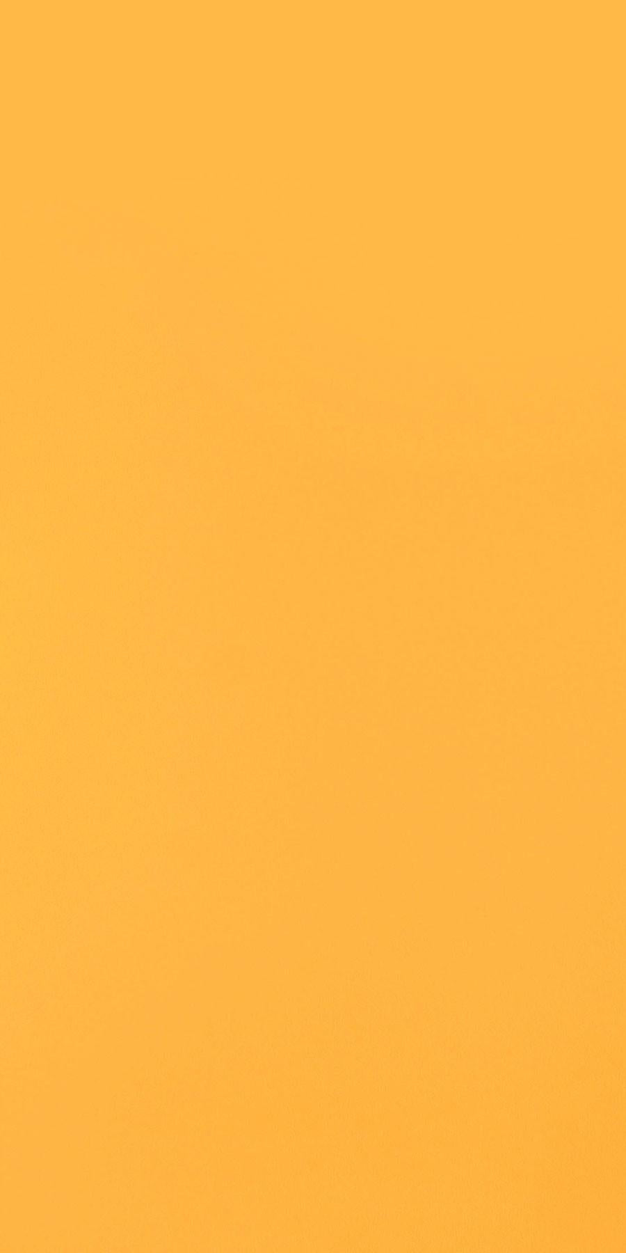 Orange - View 15 from www redcrocus com
