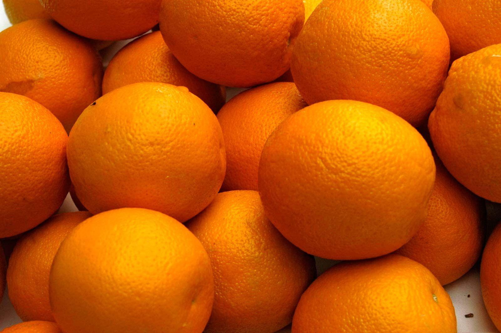 Orange - View 1 from www redcrocus com