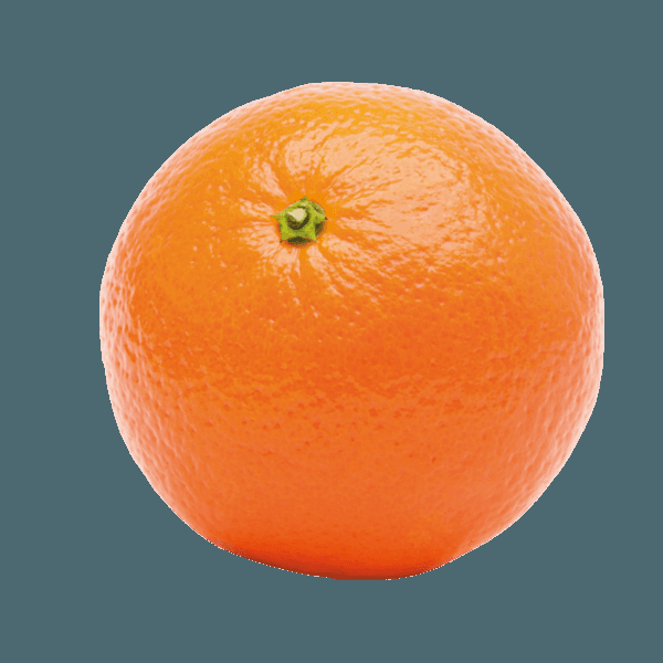 Orange - View 24 from www redcrocus com