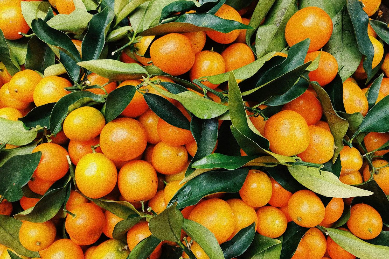 Orange - View 24 from www redcrocus com
