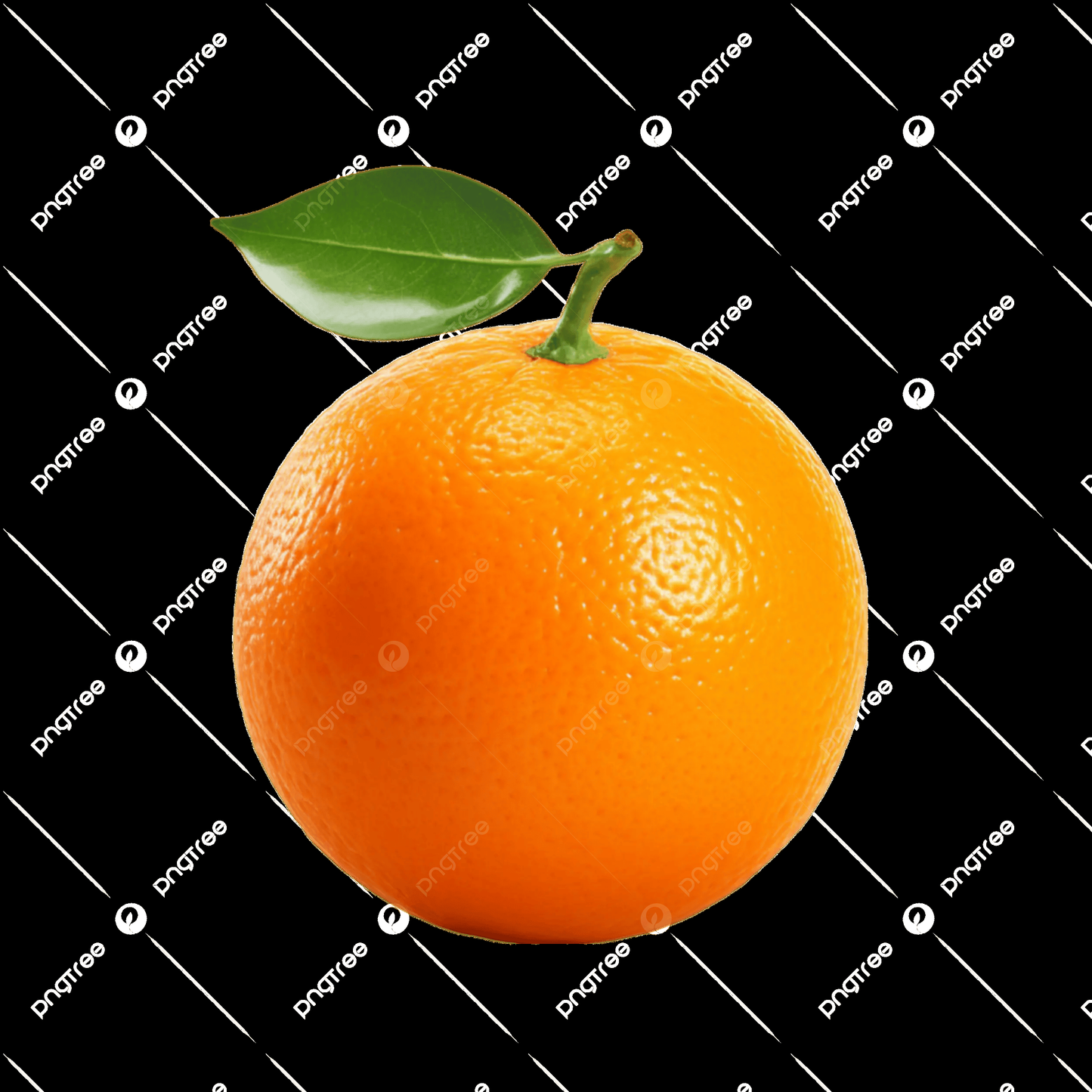 Orange - View 26 from www redcrocus com