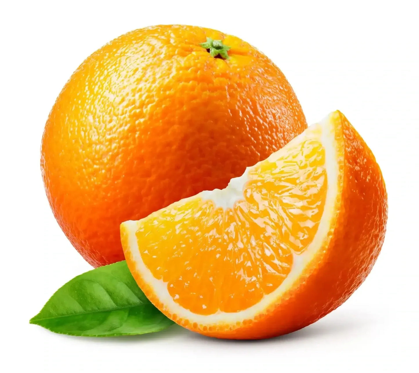 Orange - View 7 from www redcrocus com