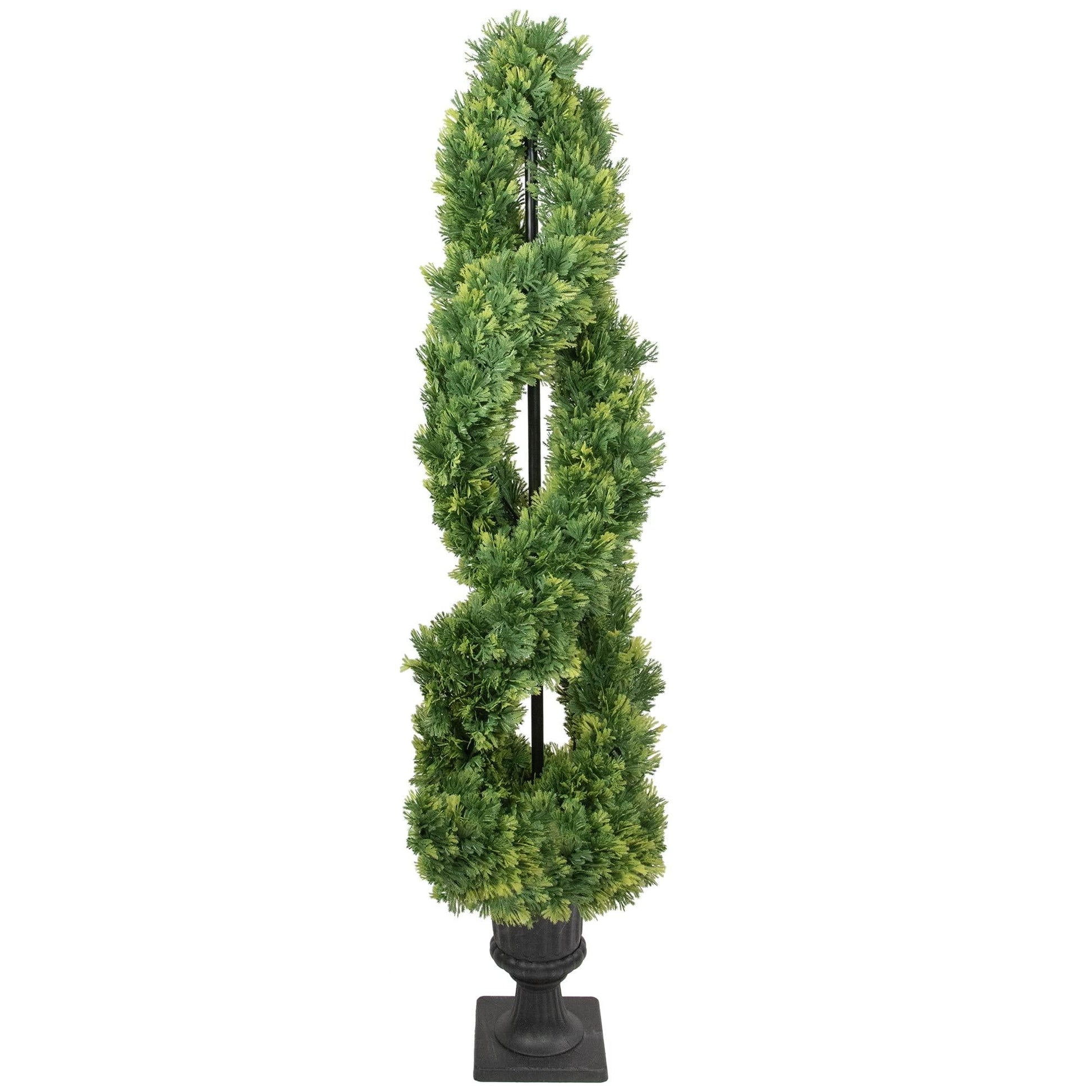 E Picea Conica Double Spiral Topiary - View 15 from www redcrocus com