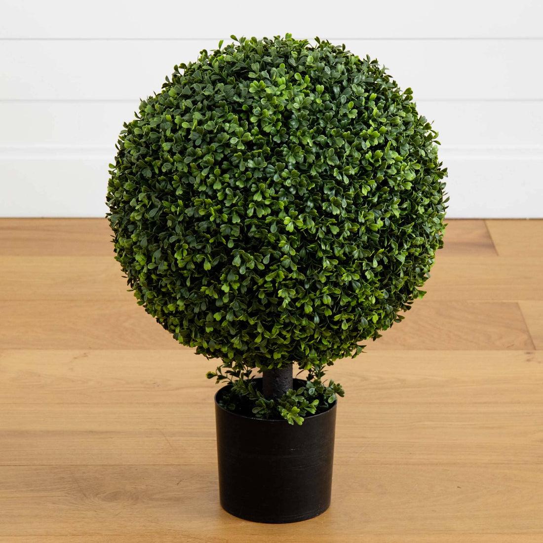 E Picea Hexenbesen Topiary Standard Topiary Sold Out - View 20 from www redcrocus com