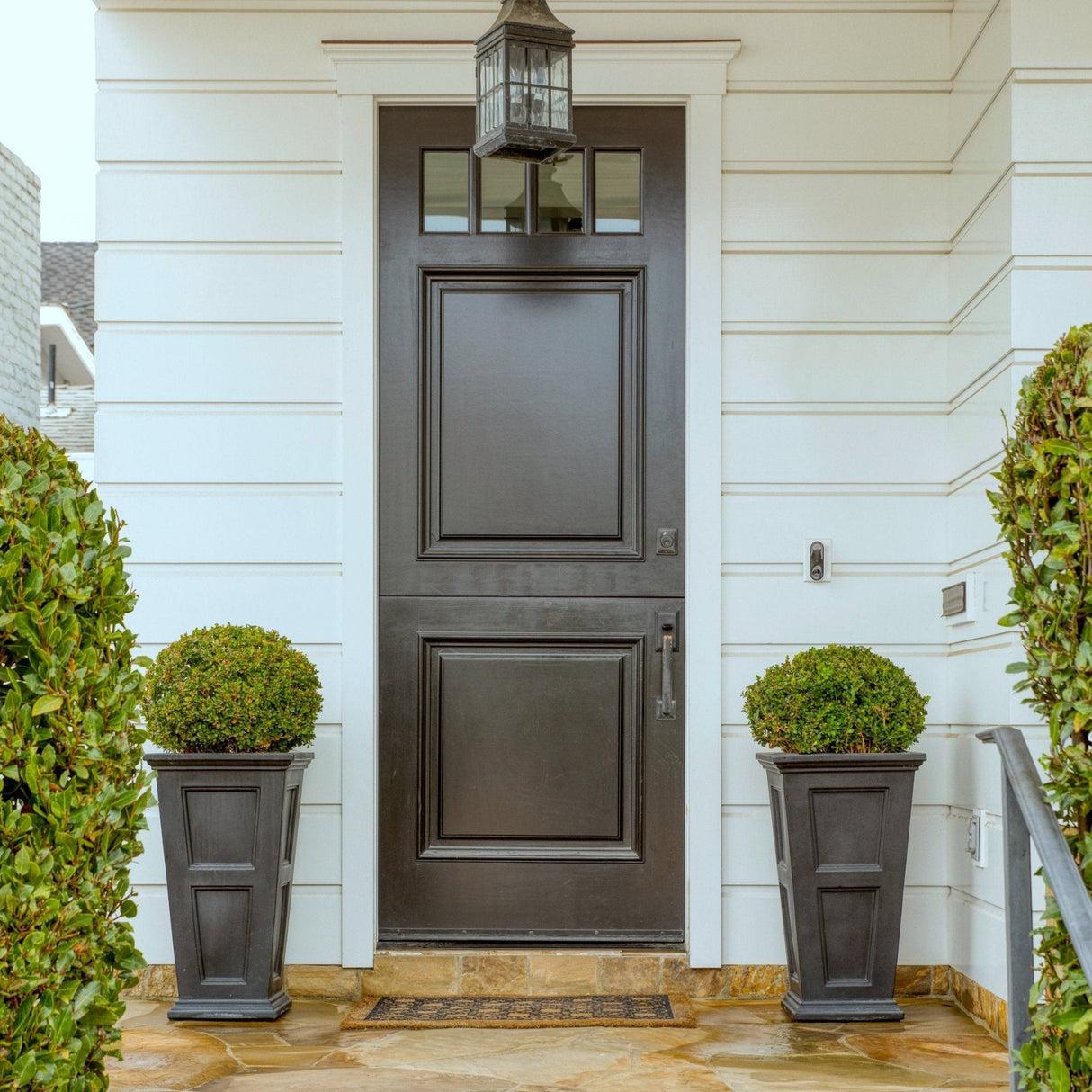 Buxus Green Mountain Topiary Standard Topiary - View 28 from www redcrocus com