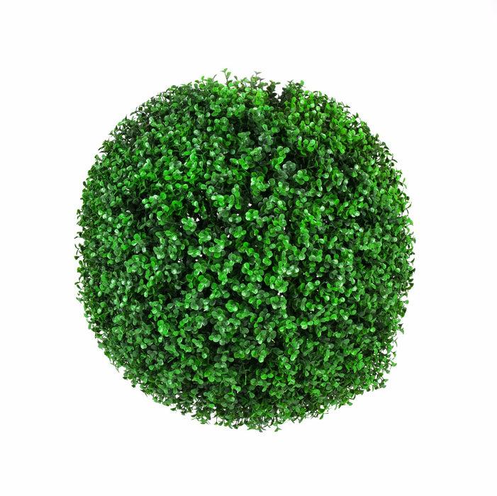 Buxus Faulkner Ball - View 13 from www redcrocus com