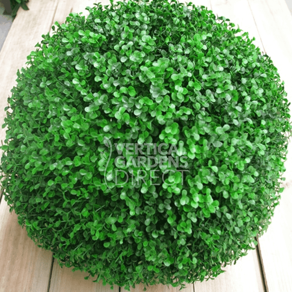 Buxus Faulkner Ball - View 17 from www redcrocus com