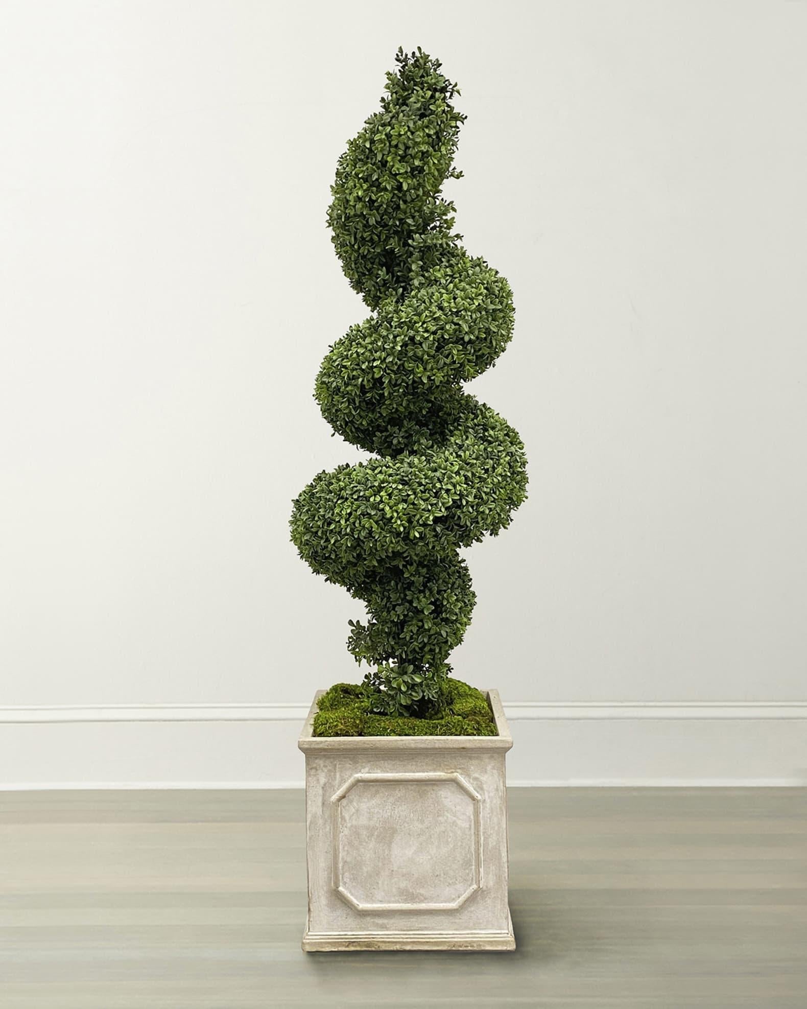 B6 Spiral Topiary - View 30 from www redcrocus com