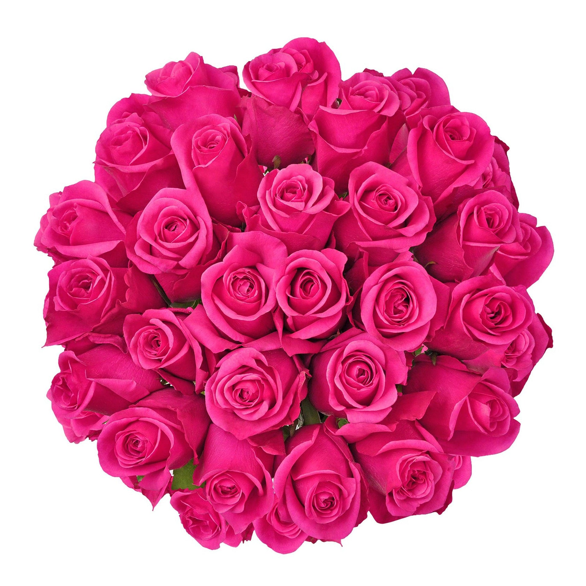 Hot Pink - View 1 from www redcrocus com