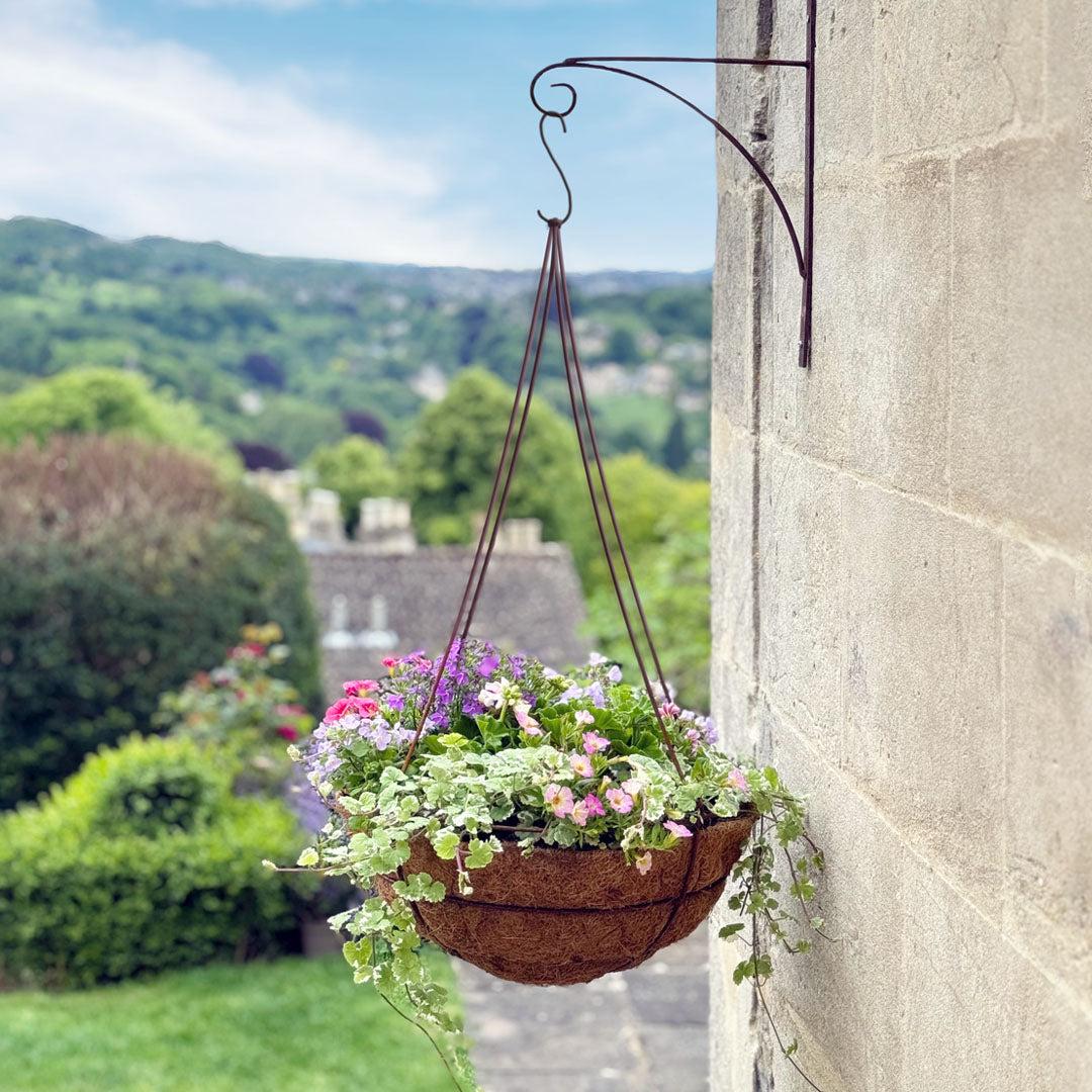 A3 Hanging Basket - View 10 from www redcrocus com