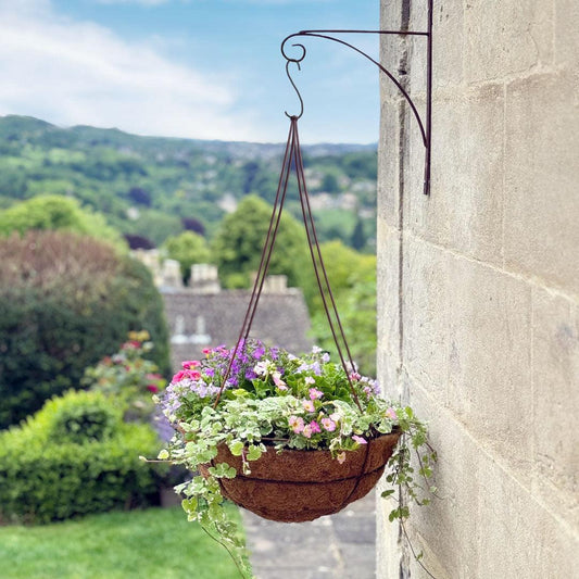 A3 Hanging Basket - View 10 from www redcrocus com