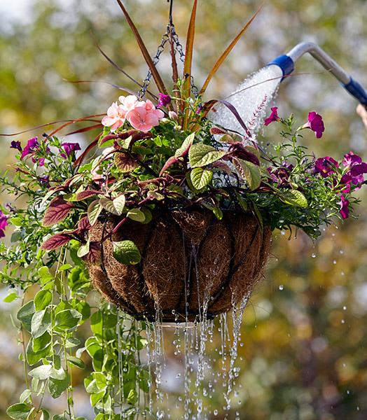 A3 Hanging Basket - View 22 from www redcrocus com