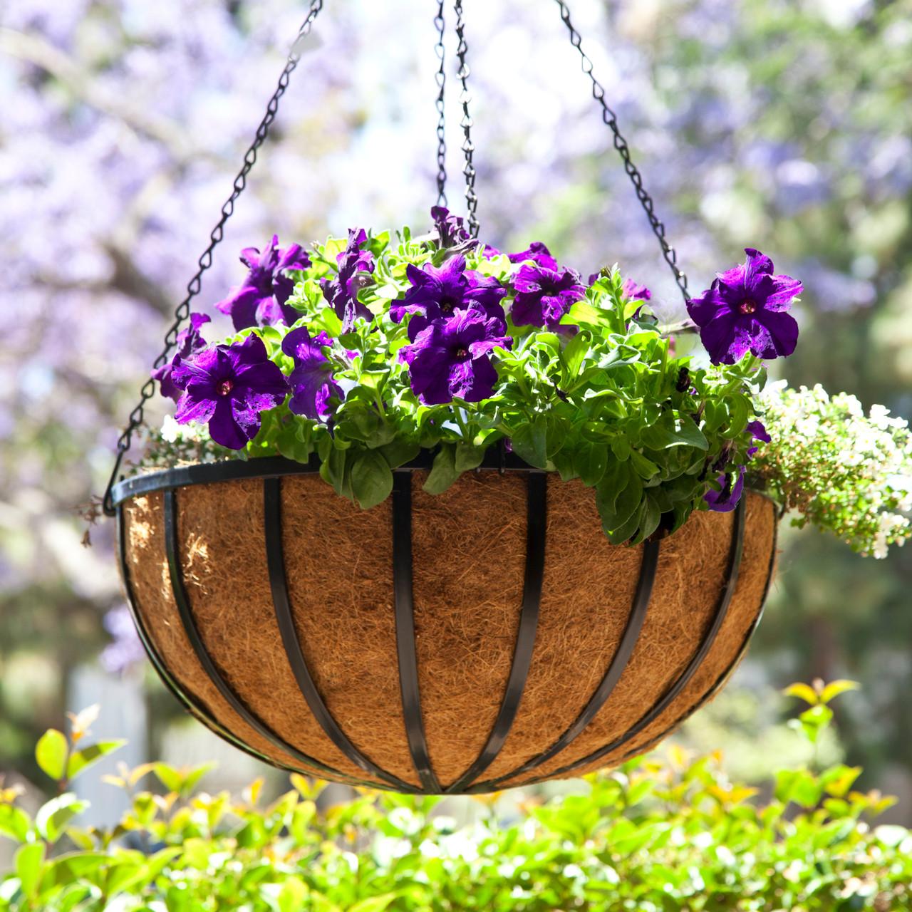 A3 Hanging Basket - View 25 from www redcrocus com
