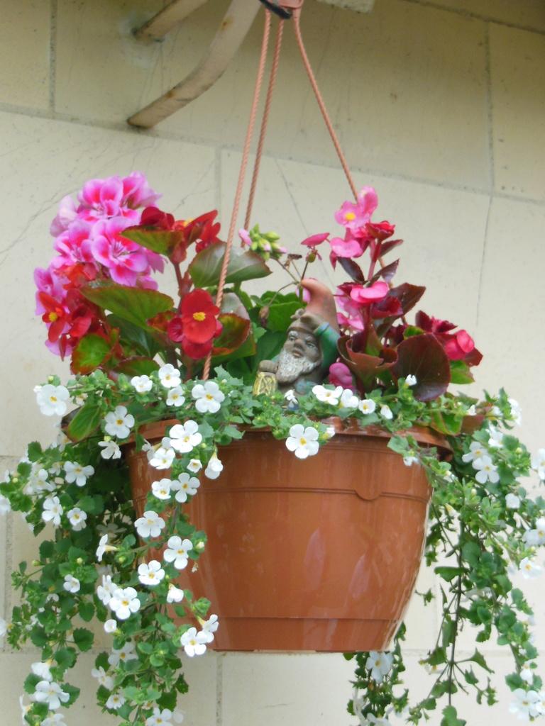 A3 Hanging Basket - View 27 from www redcrocus com