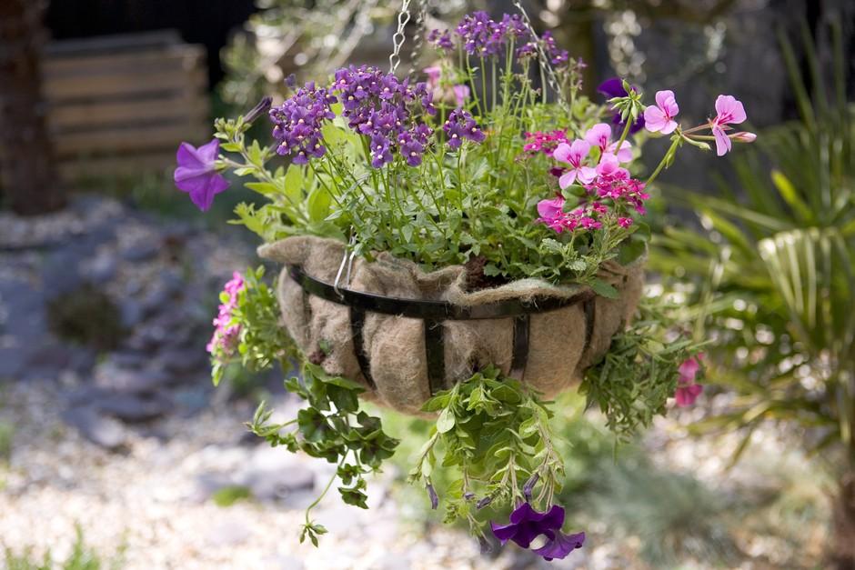 A3 Hanging Basket - View 30 from www redcrocus com