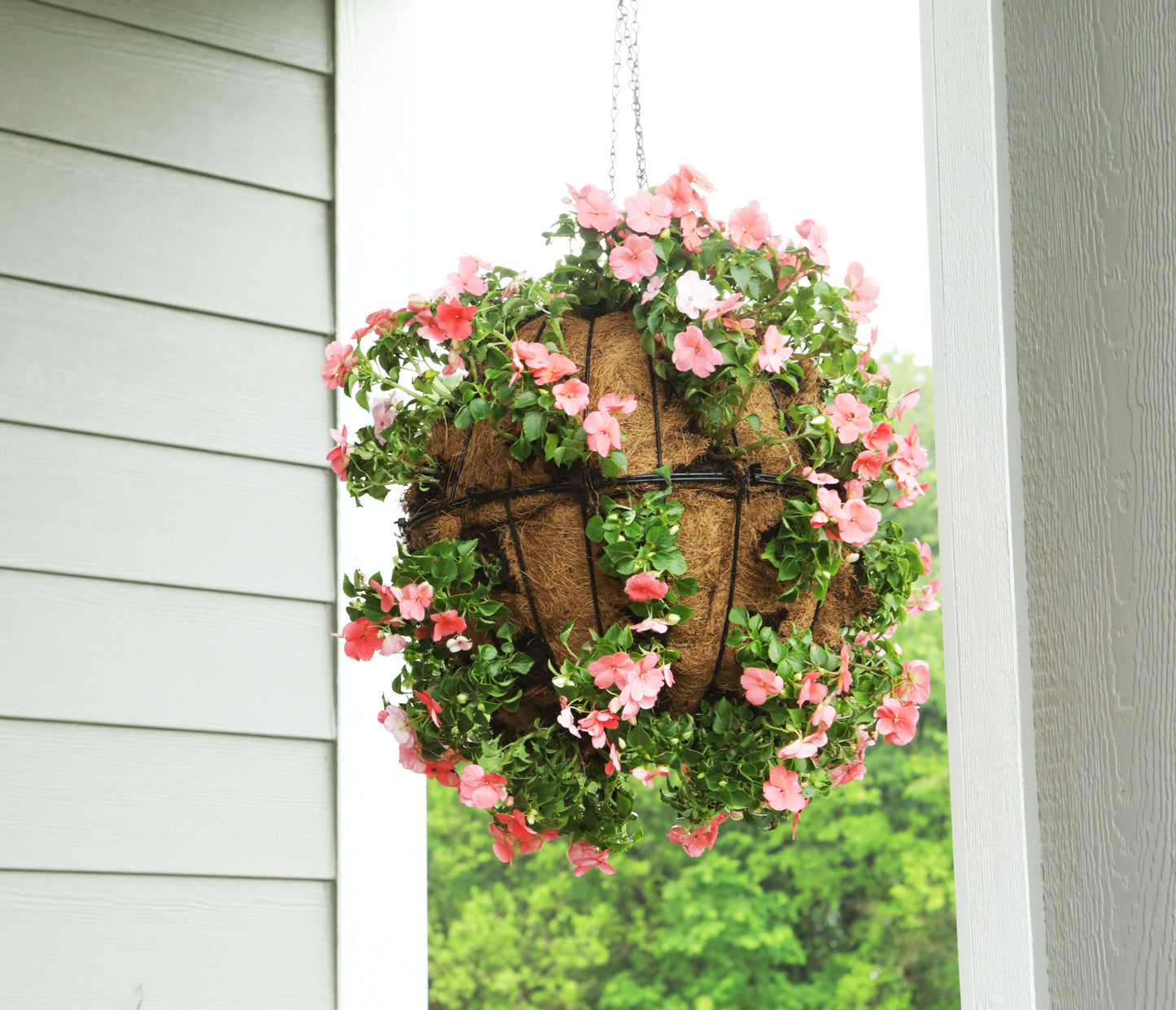 A3 Hanging Basket - View 35 from www redcrocus com