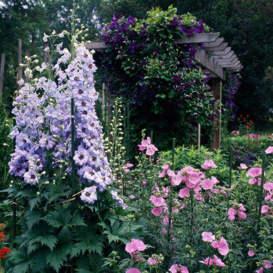 Pinks, Purples, White - View 7 from www redcrocus com